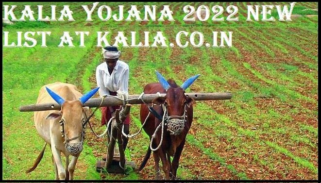 Kalia Yojana New List 2022: Kalia Beneficiary List & Status at kalia.co.in