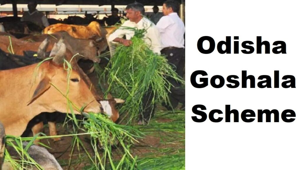 Odisha Goshala Scheme