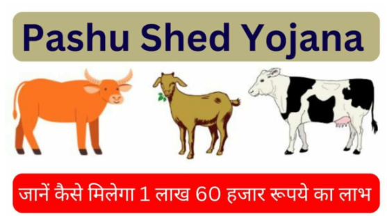 Pashu Shed Yojana