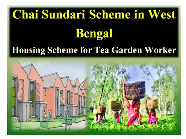 WB Chaa Sundari Scheme